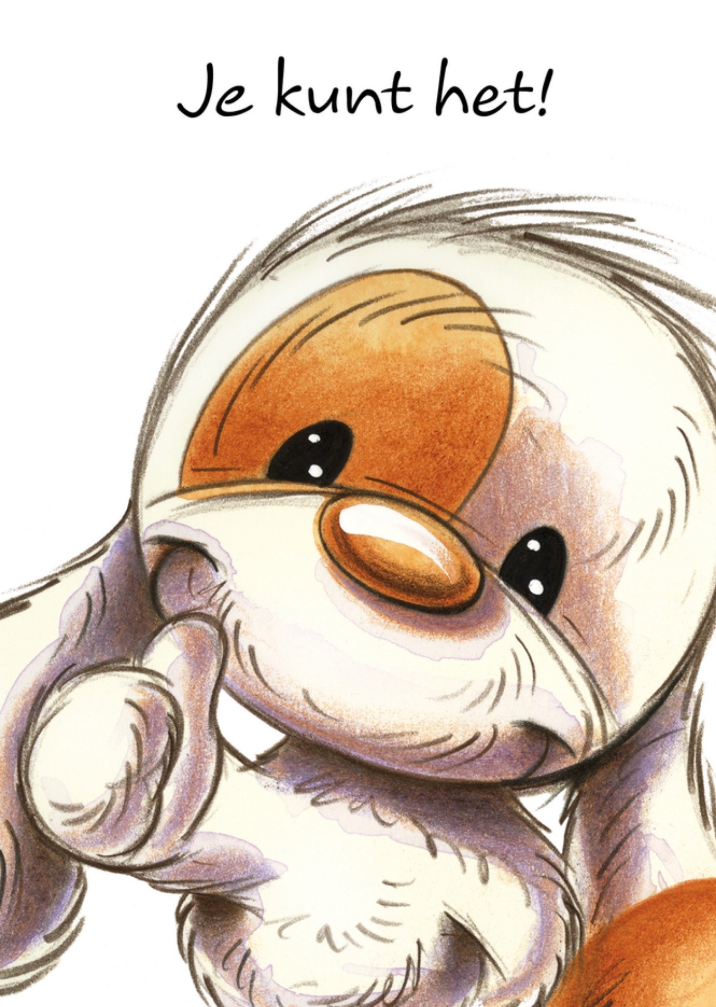 Succeskaart je kunt het! Kaart TMS