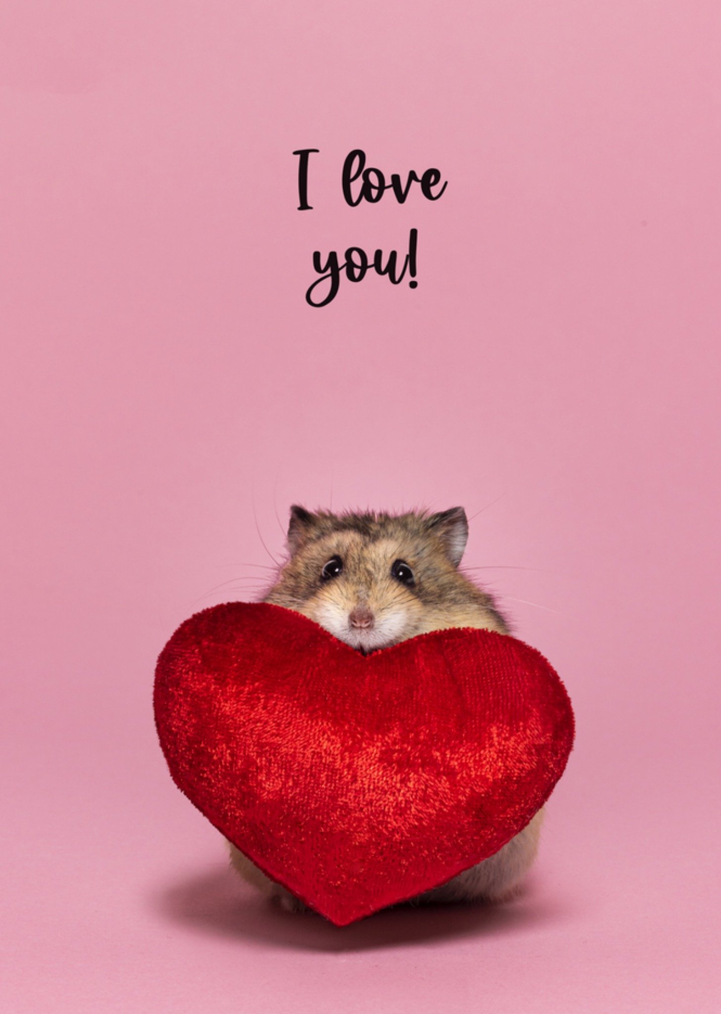 Liefdekaart Dieren Catchy Images