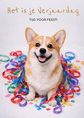 Tijd Voor Feest Corgi Met Slingers Verjaardagskaart