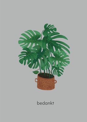 De Merkwaardige Studio | Bedankt kaart | Monstera