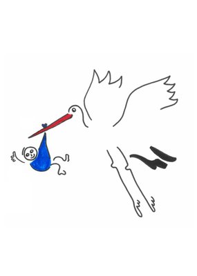 Eva Gans | Geboortekaart | Ooievaar