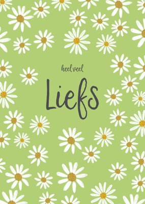 Tsjip | Denken aan kaart | madeliefjes