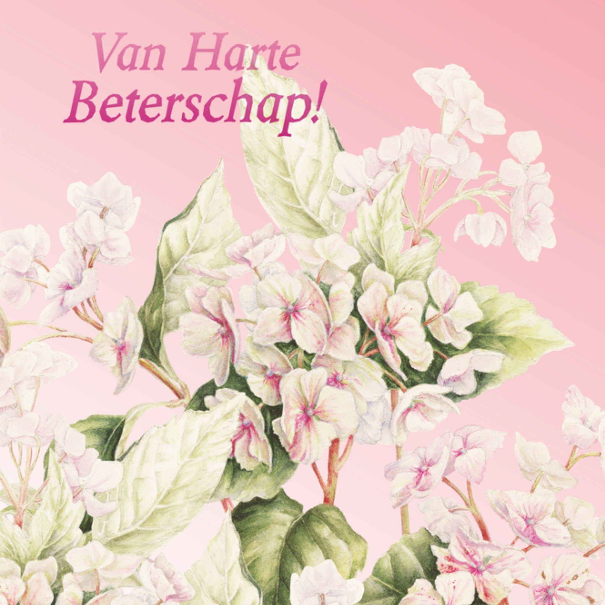 Beterschapskaart Witte bloemen Vierkante Kaart Janneke Brinkman