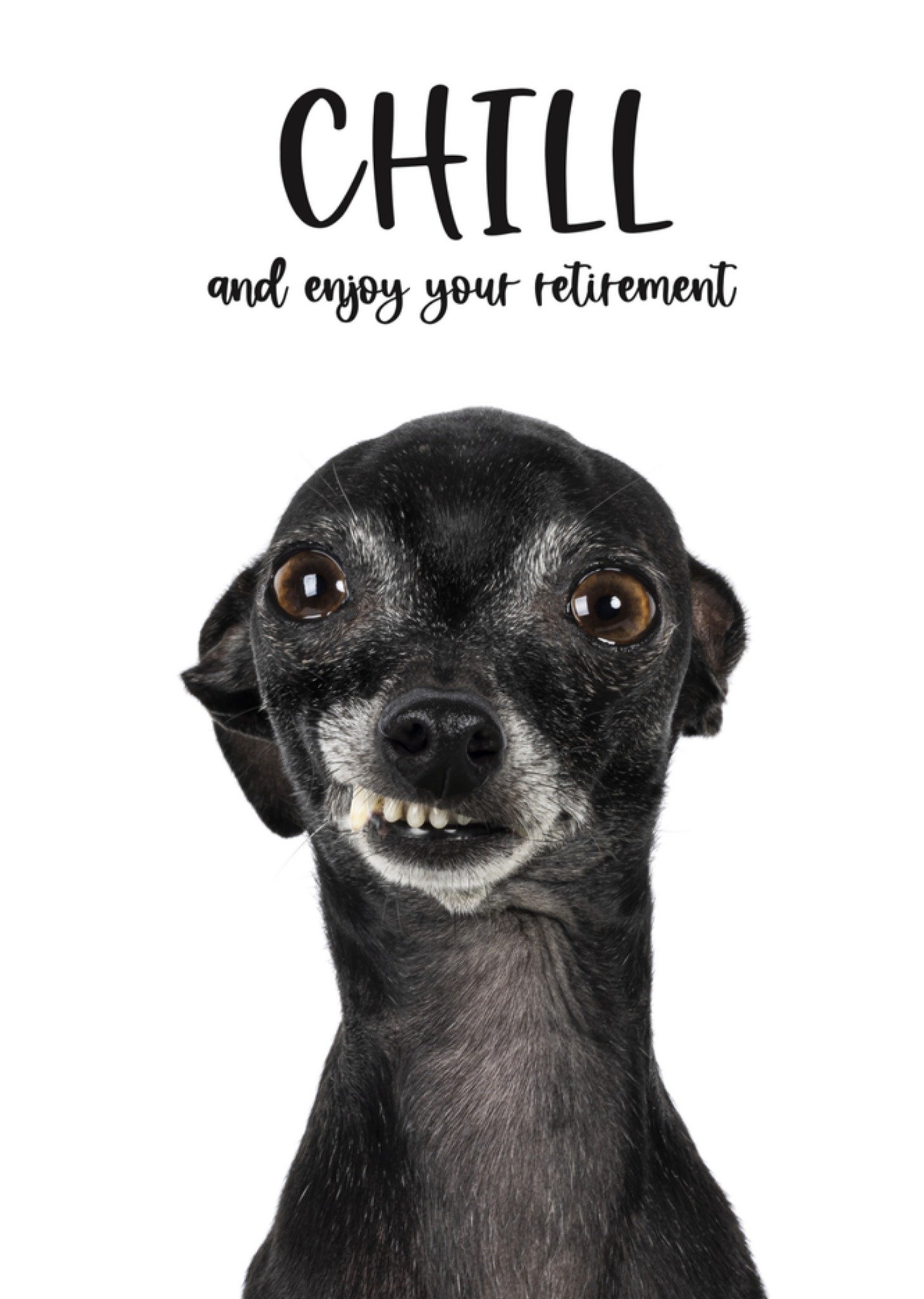 Catchy Images Pensioenkaart chill dieren Standard Card
