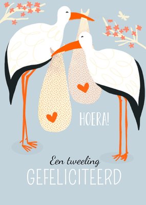 Greetz | Geboortekaart | ooievaar | tweeling