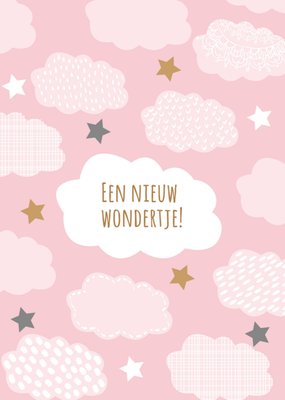 Tsjip l Geboortekaart l Een nieuw wondertje