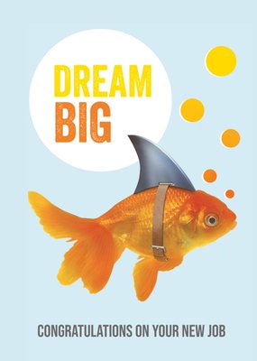 Dream Big Goudvis Met Haaienvin Nieuwe Baan Kaart