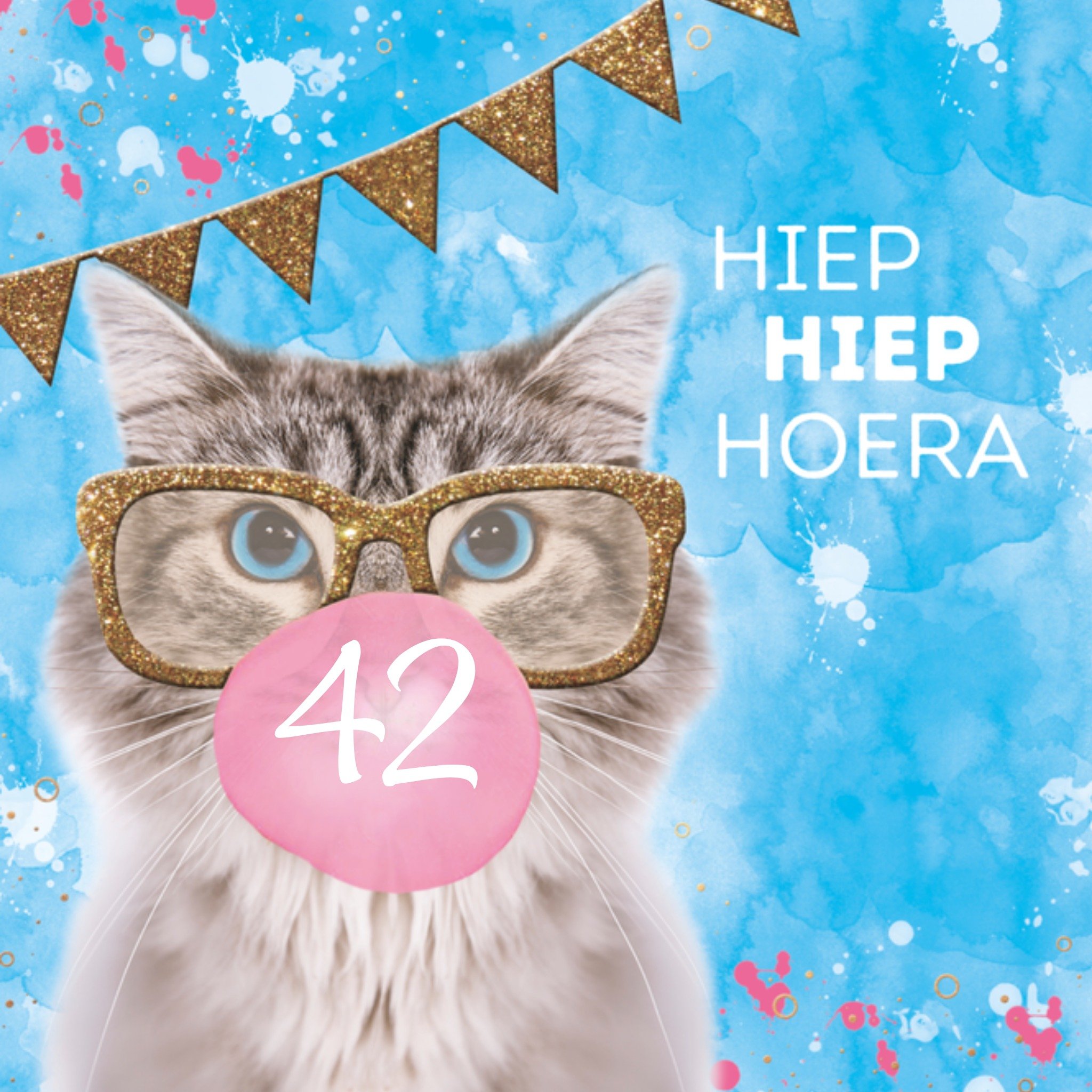 Verjaardagskaart leeftijd kat Vierkante Kaart TMS