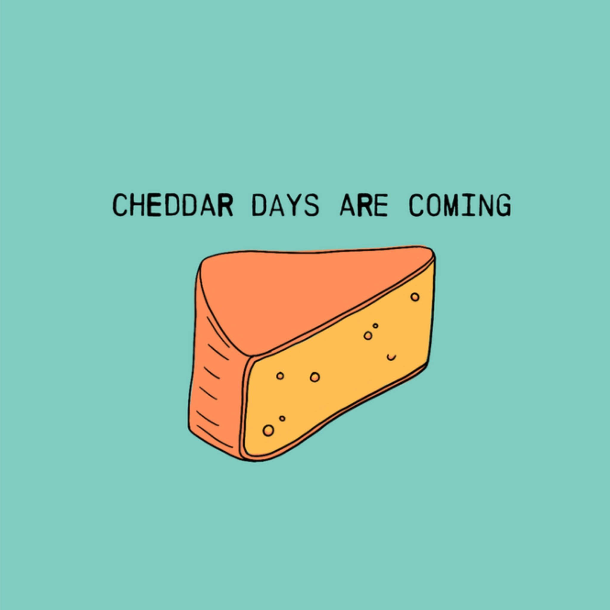 Greetz Sterkte kaart cheddar Vierkant