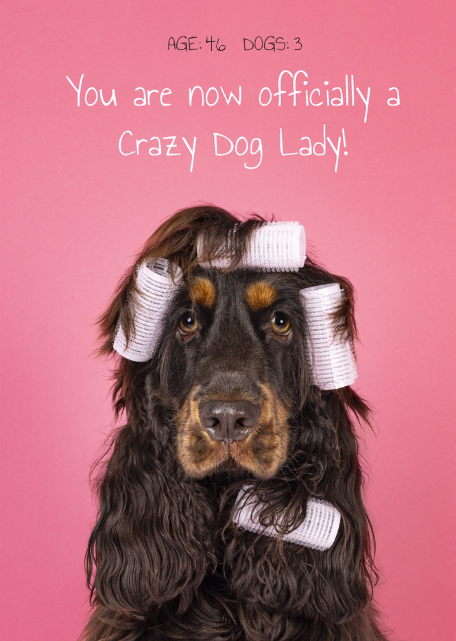 Catchy Images - Verjaardagskaart - Crazy dog lady