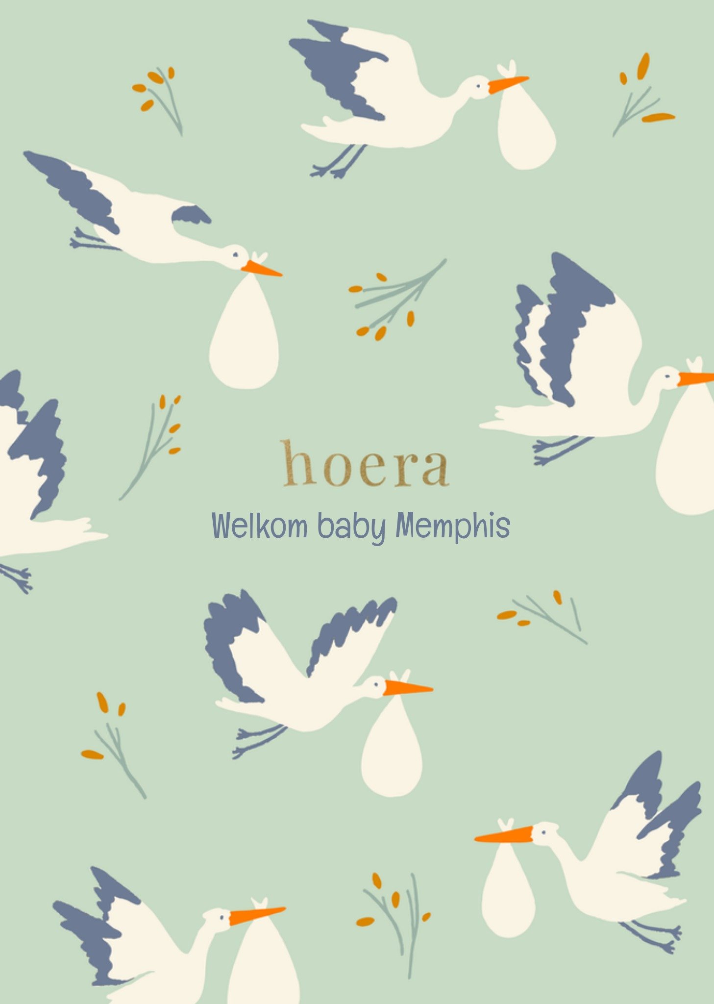 Geboortekaart Kleine jongen Kaart Greetz