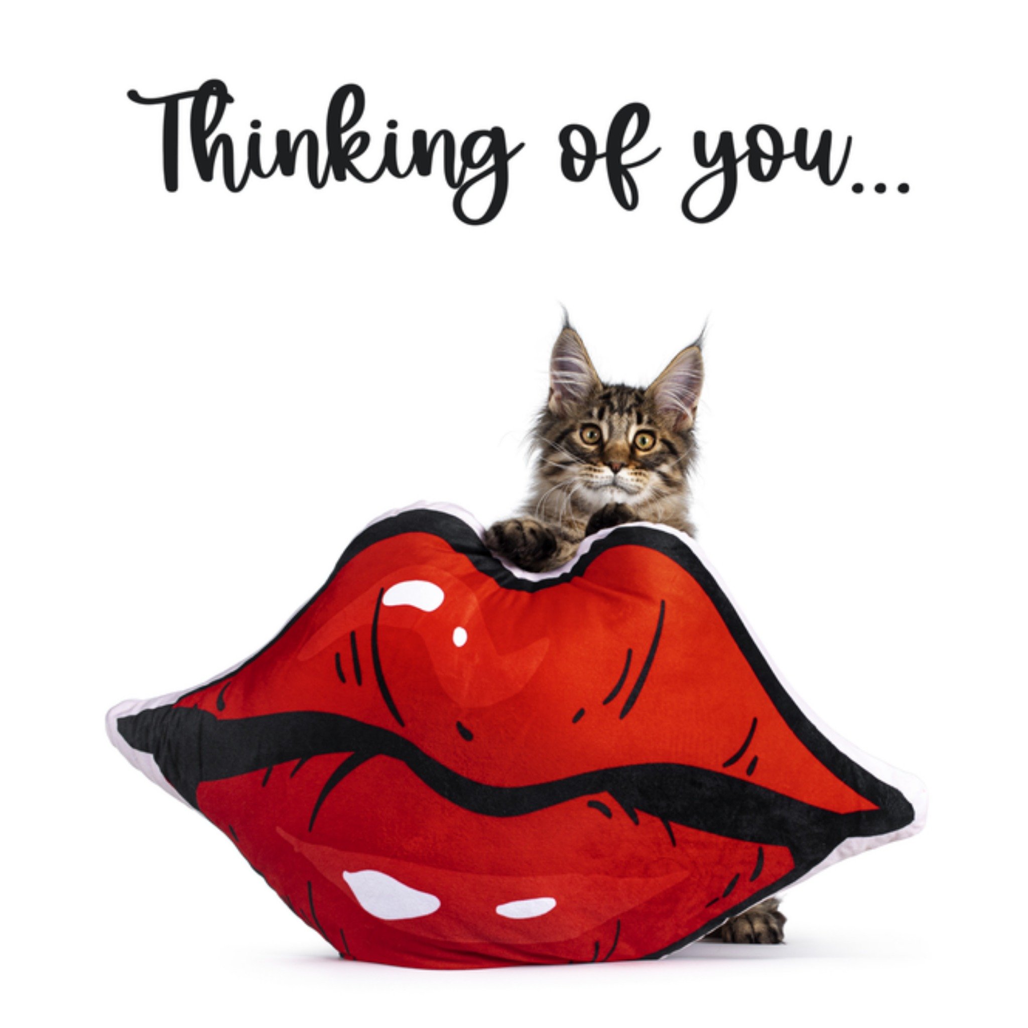 Denken aan kaart dieren neef Catchy Images