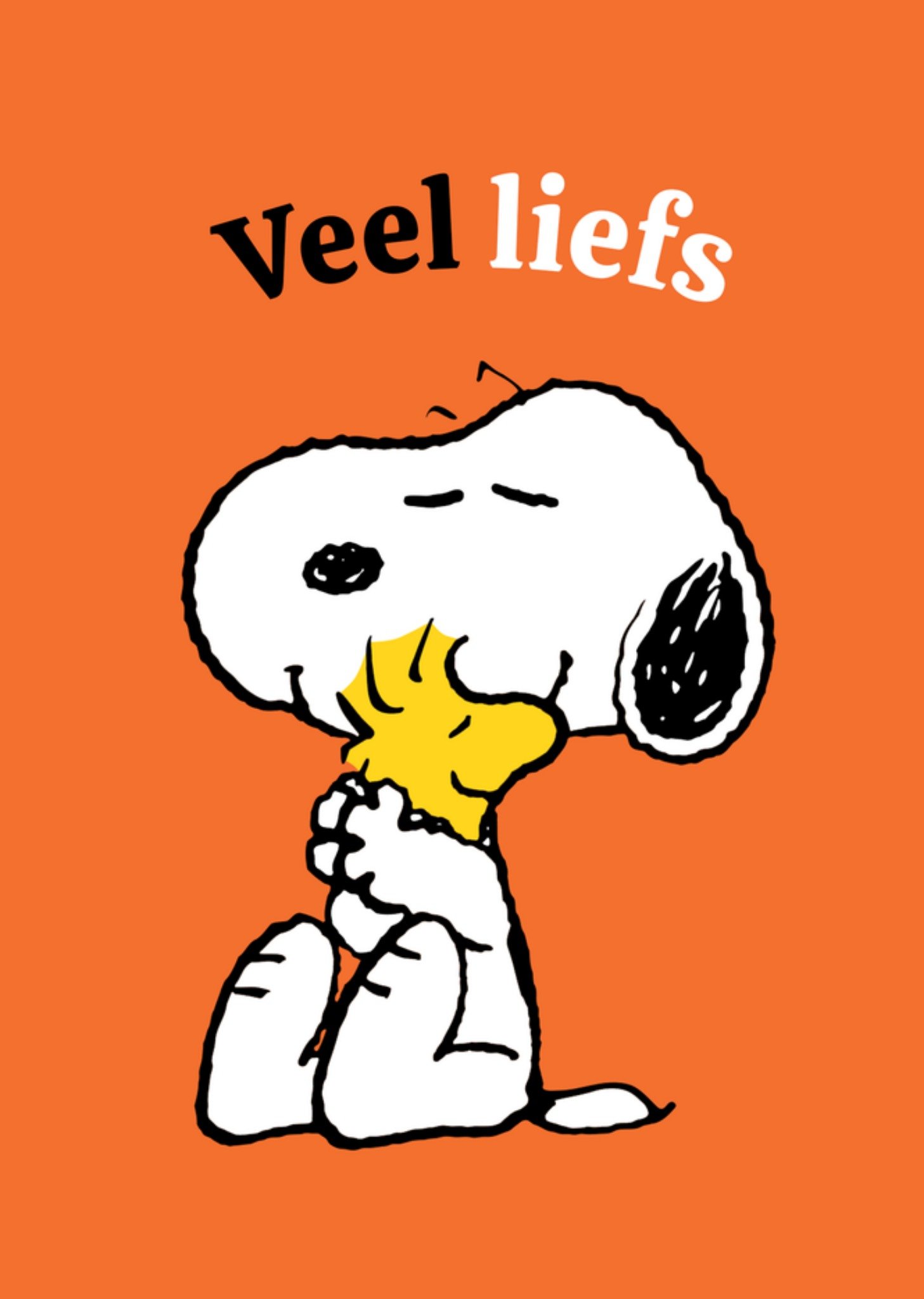 Peanuts Snoopy Denken aan kaart Veel liefs Standard Card