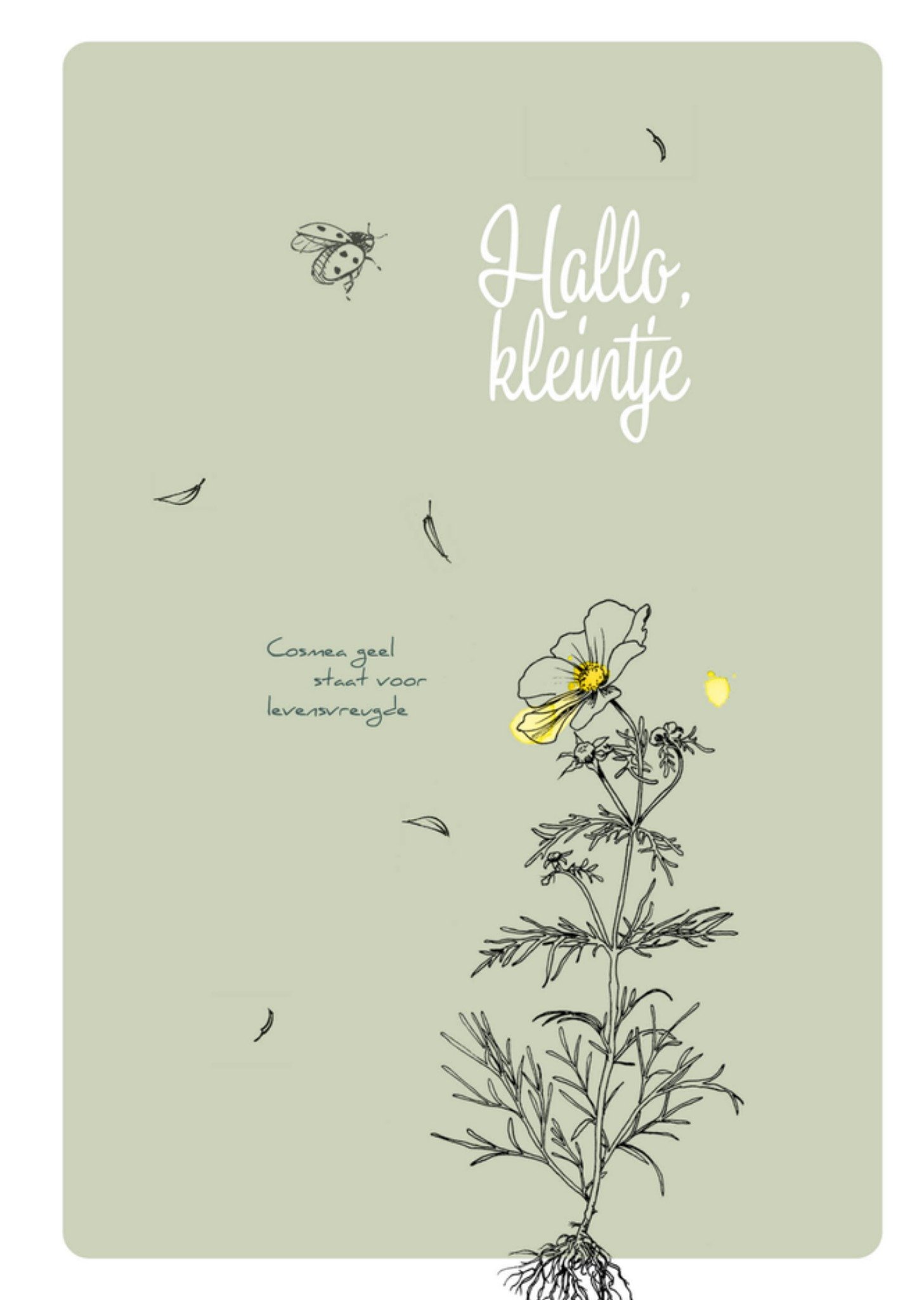 Geboortekaart Cosmea geel voor levensvreugde Kaart Veer Moon