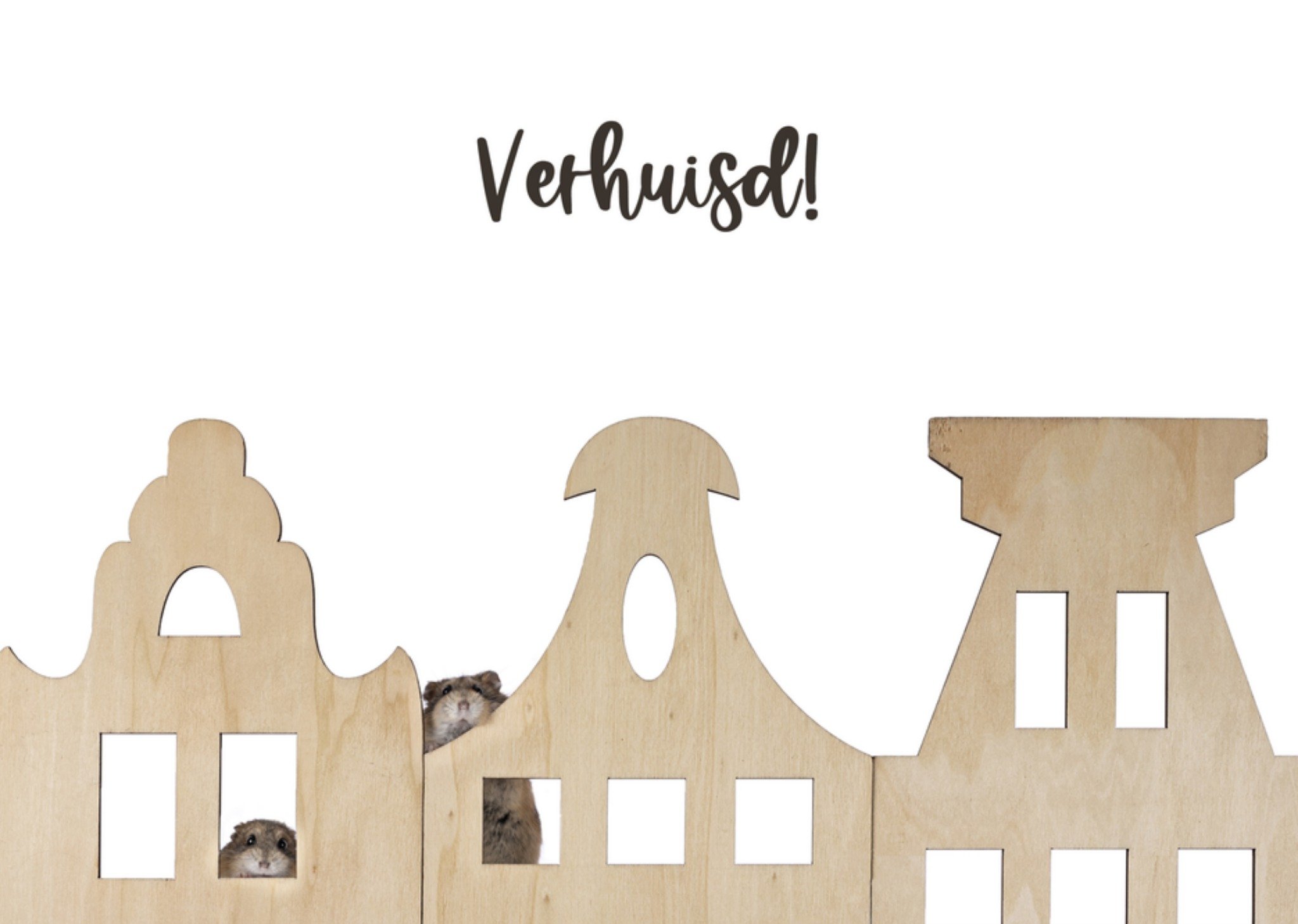 Nieuwe woning hamster huis Catchy Images