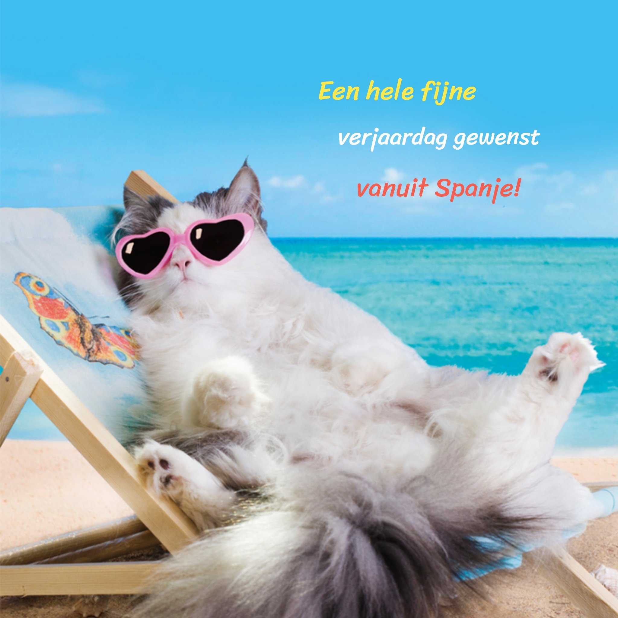 Verjaardagskaart aanpasbare tekst Vierkante Kaart TMS