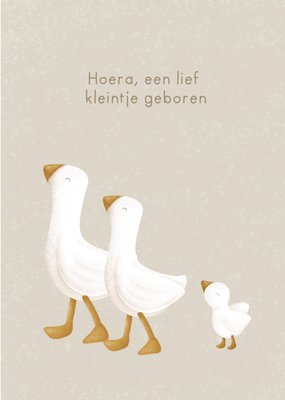 Little Dutch | Geboortekaart | Opa en Oma