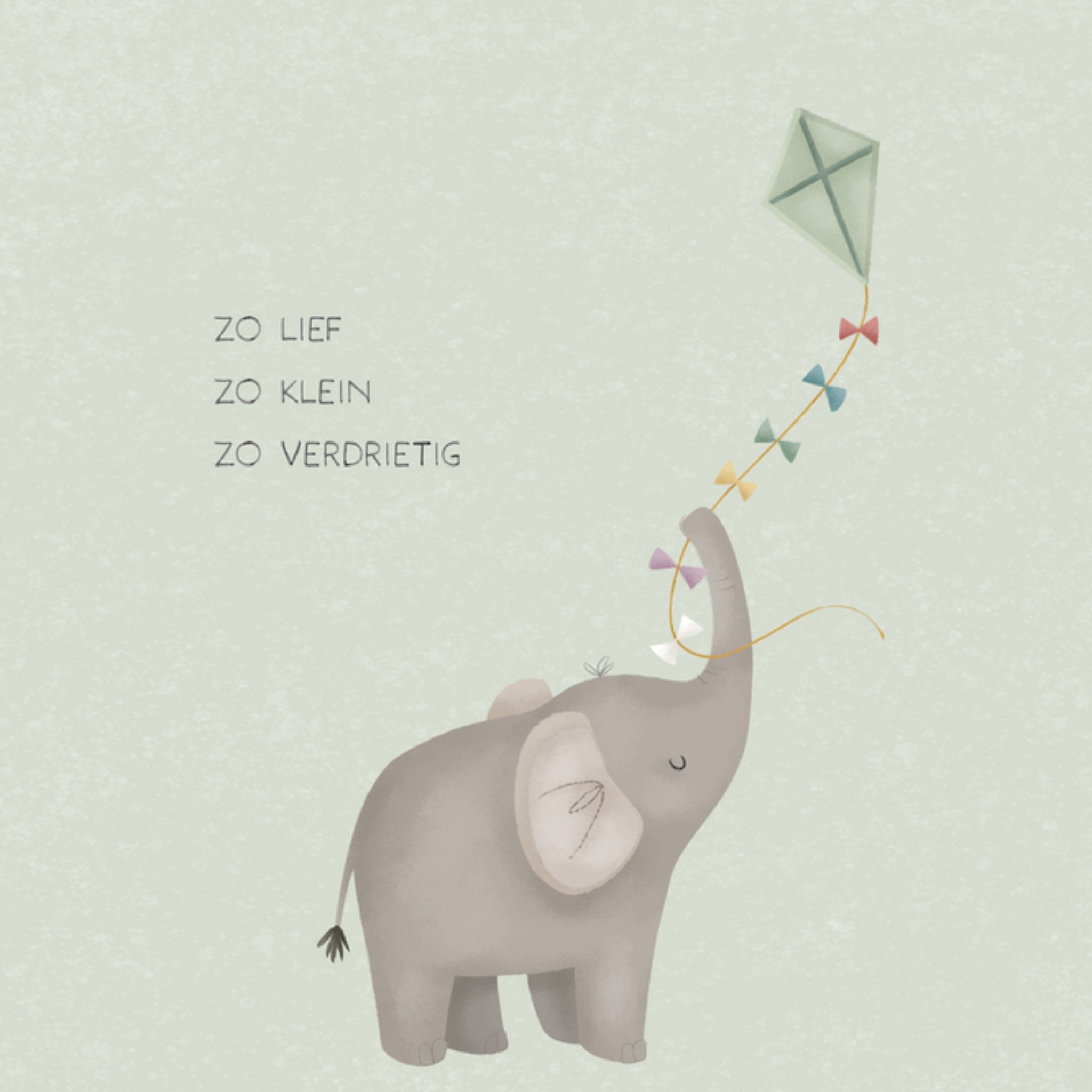 Condoleancekaart Olifant Lief Vierkante Kaart Little Dutch