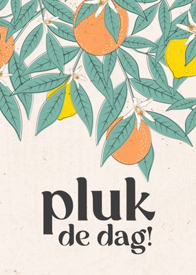 Melolelo | Zomaar | Pluk de dag!