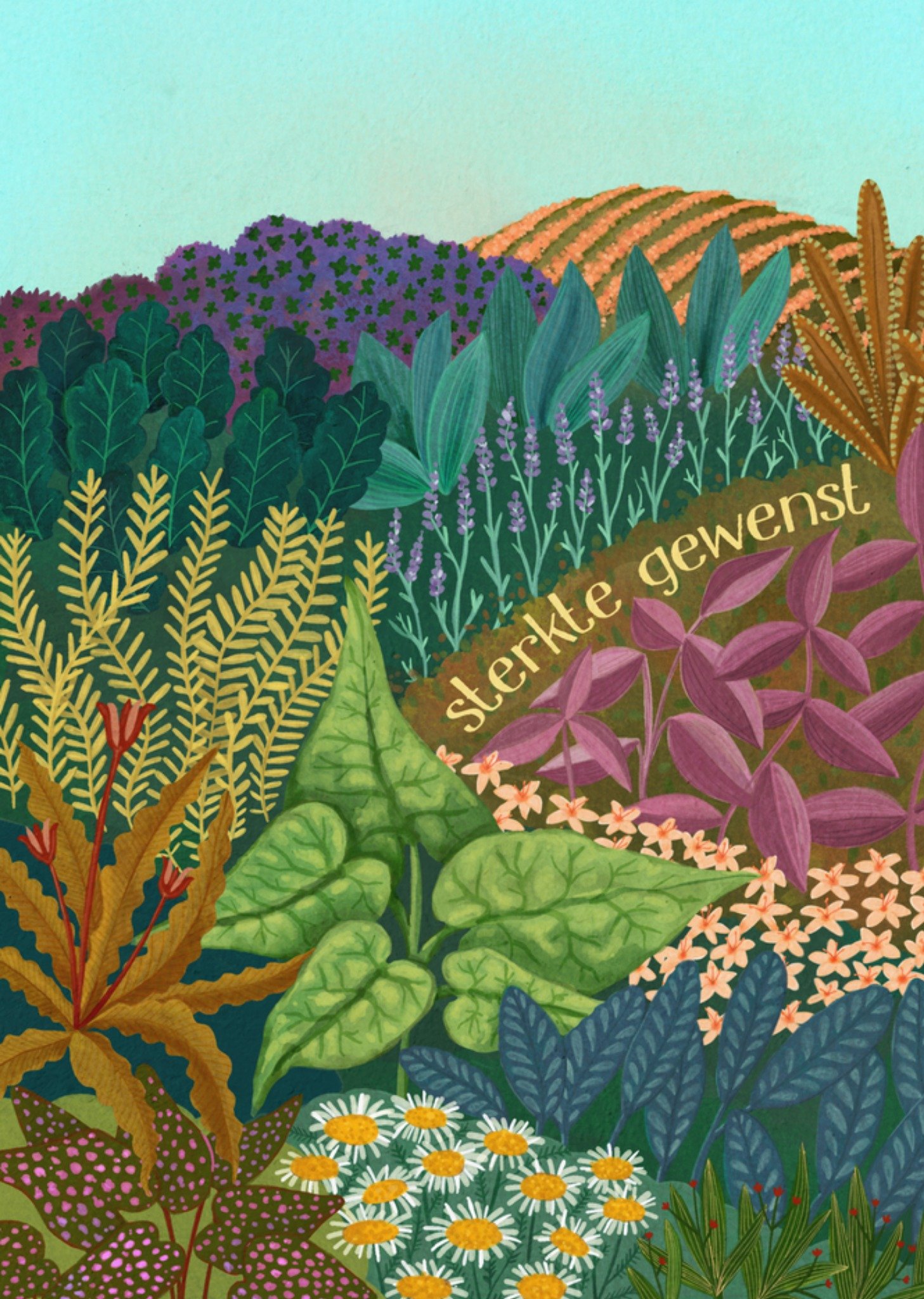 Sterkte kaart planten Kaart Petit Konijn