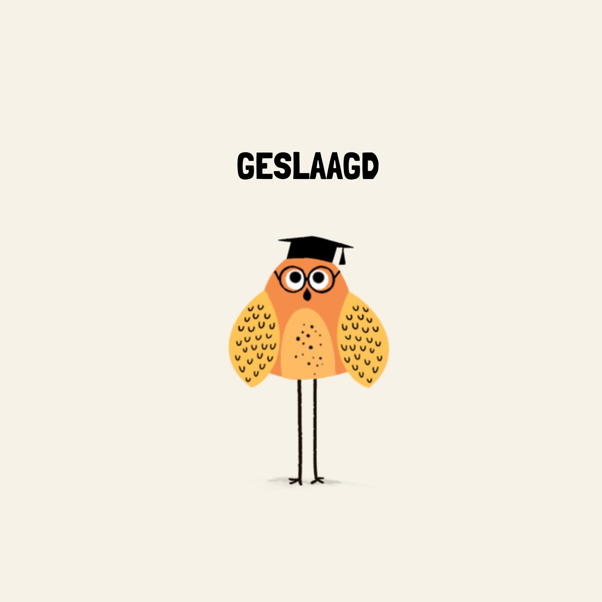 Greetz Geslaagdkaart uiltje Vierkant