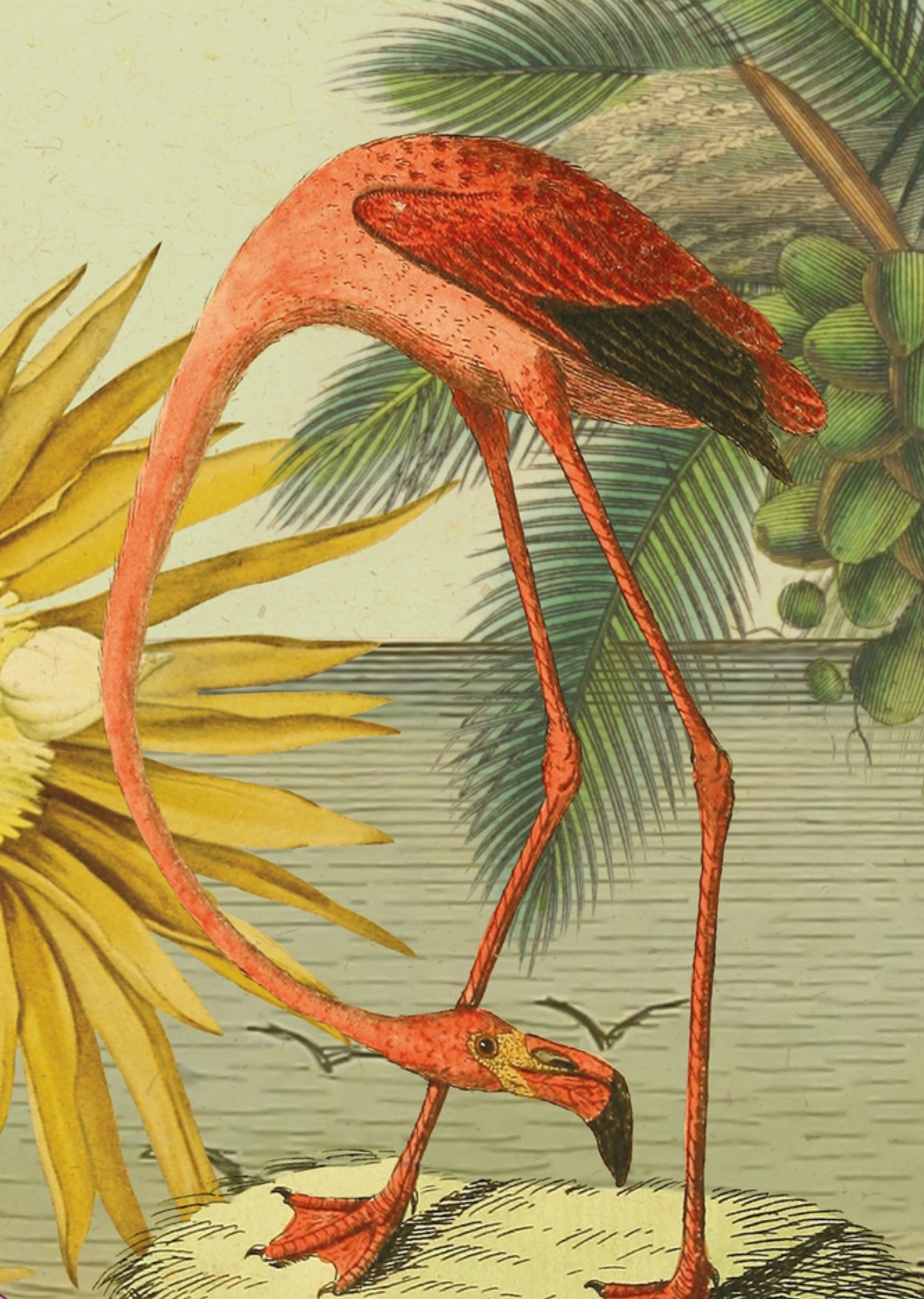 Verjaardagskaart Flamingo Kaart NIN-NIT