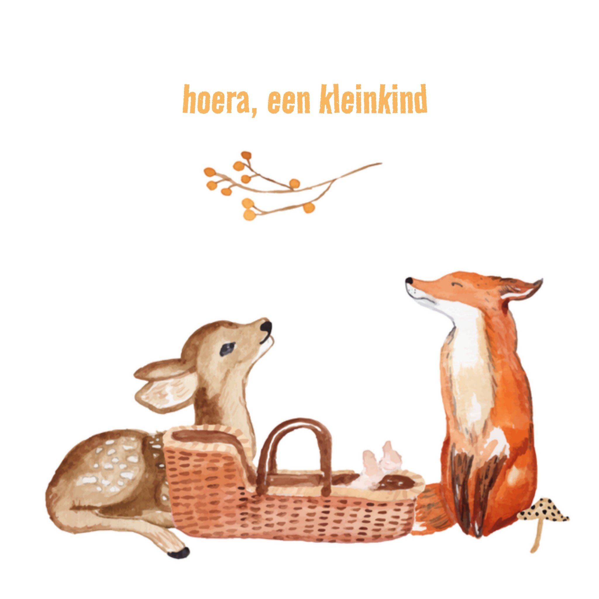 Greetz Geboortekaart kleinkind Vierkant