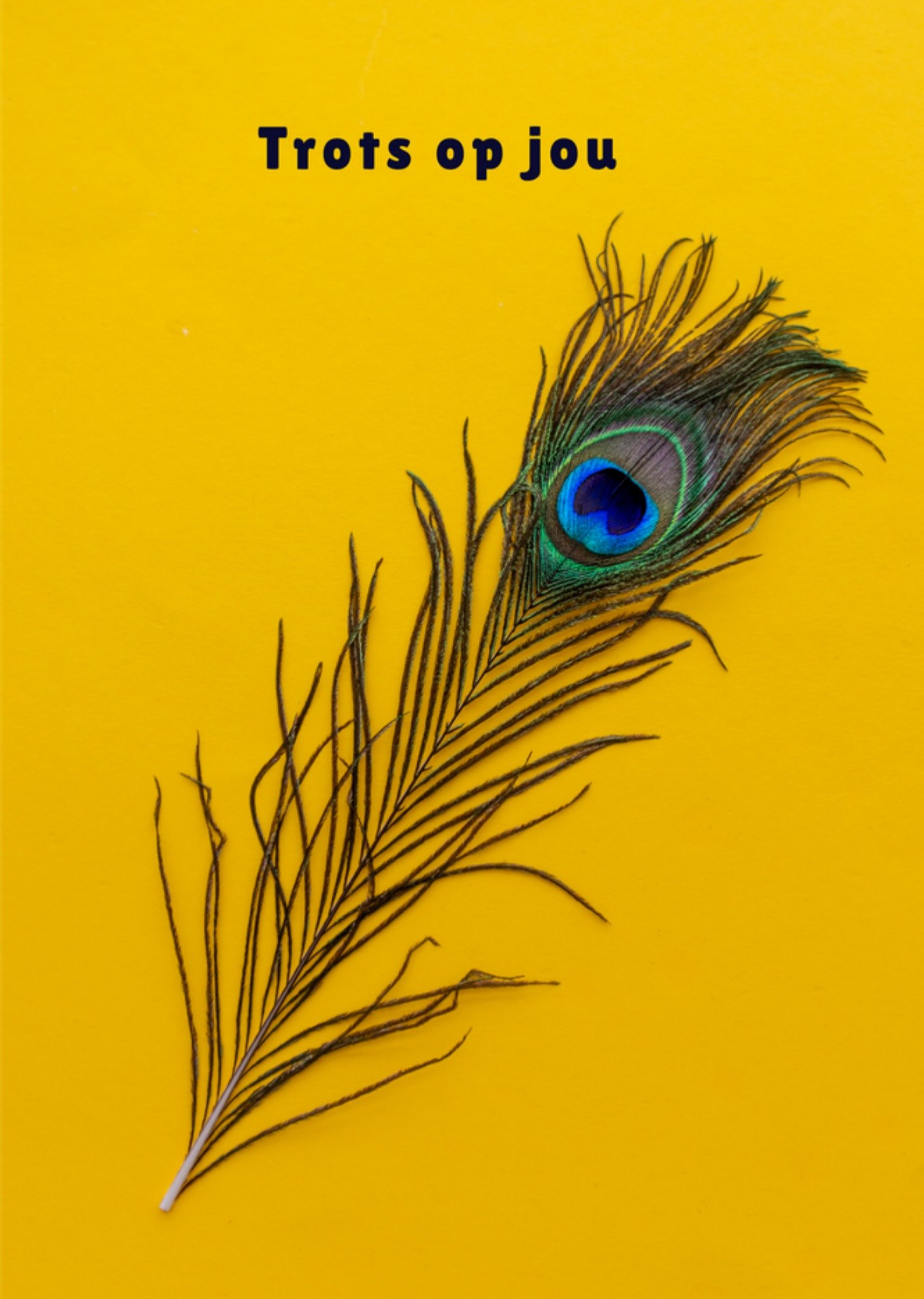 Geslaagdkaart Trots op jou Kaart Photoflash