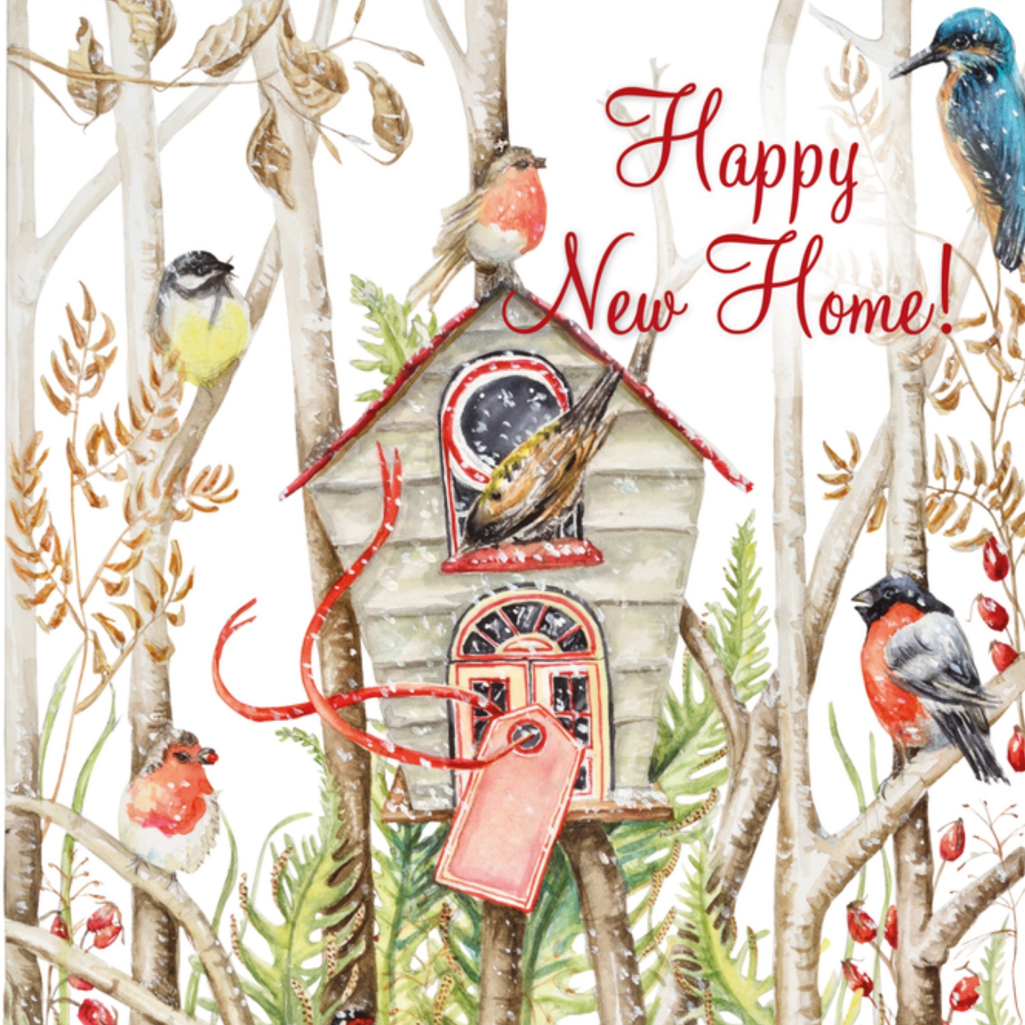 Nieuwe woning vogelhuisje Vierkante Kaart Janneke Brinkman