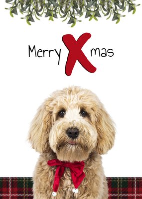 Catchy Images | Kerstkaart | Merry X mas