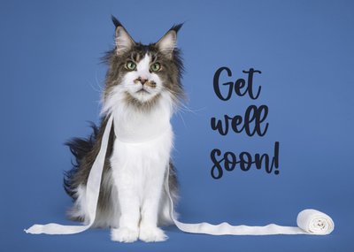 Catchy Images | Beterschapskaart | Lief