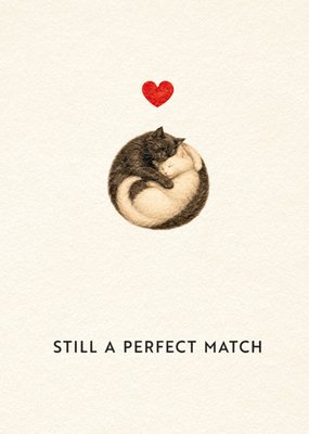 Bright Spot Still A Perfect Match Geïllustreerde Katten Huwelijk Jubileaskaart