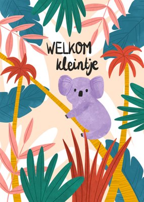Greetz | Geboortekaart | jungle | koala