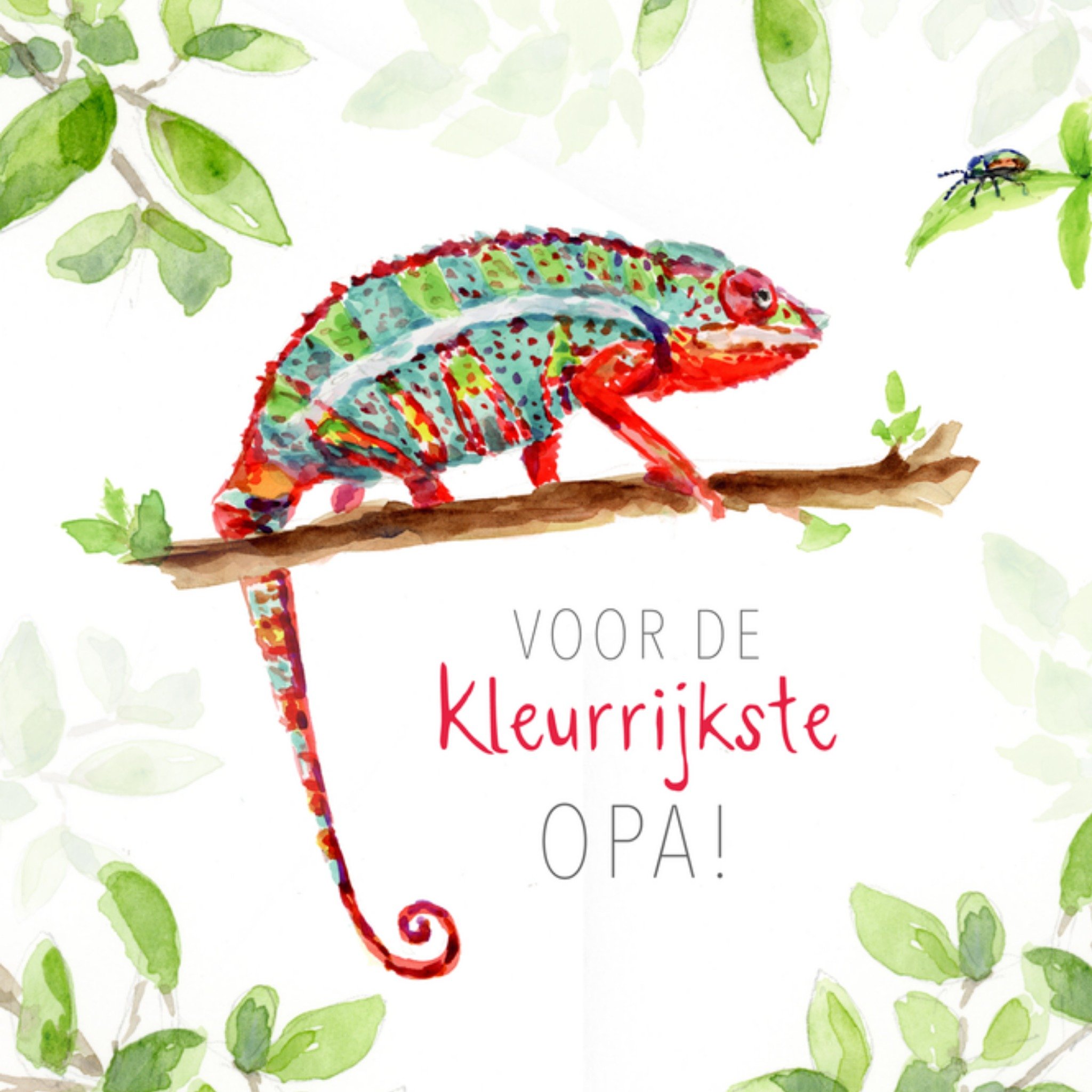 Michelle Dujardin Vaderdagkaart Kleurrijke Kameleon Voor Opa Greetz