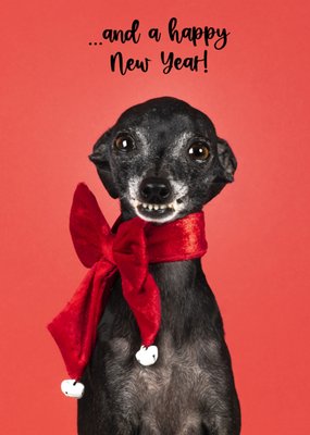 Catchy Images | Kerstkaart | dieren | ...and a happy new year!