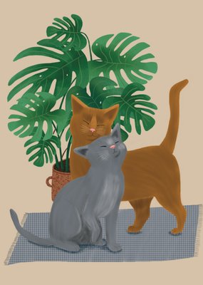 De Merkwaardige Studio | Valentijnskaart | Katten