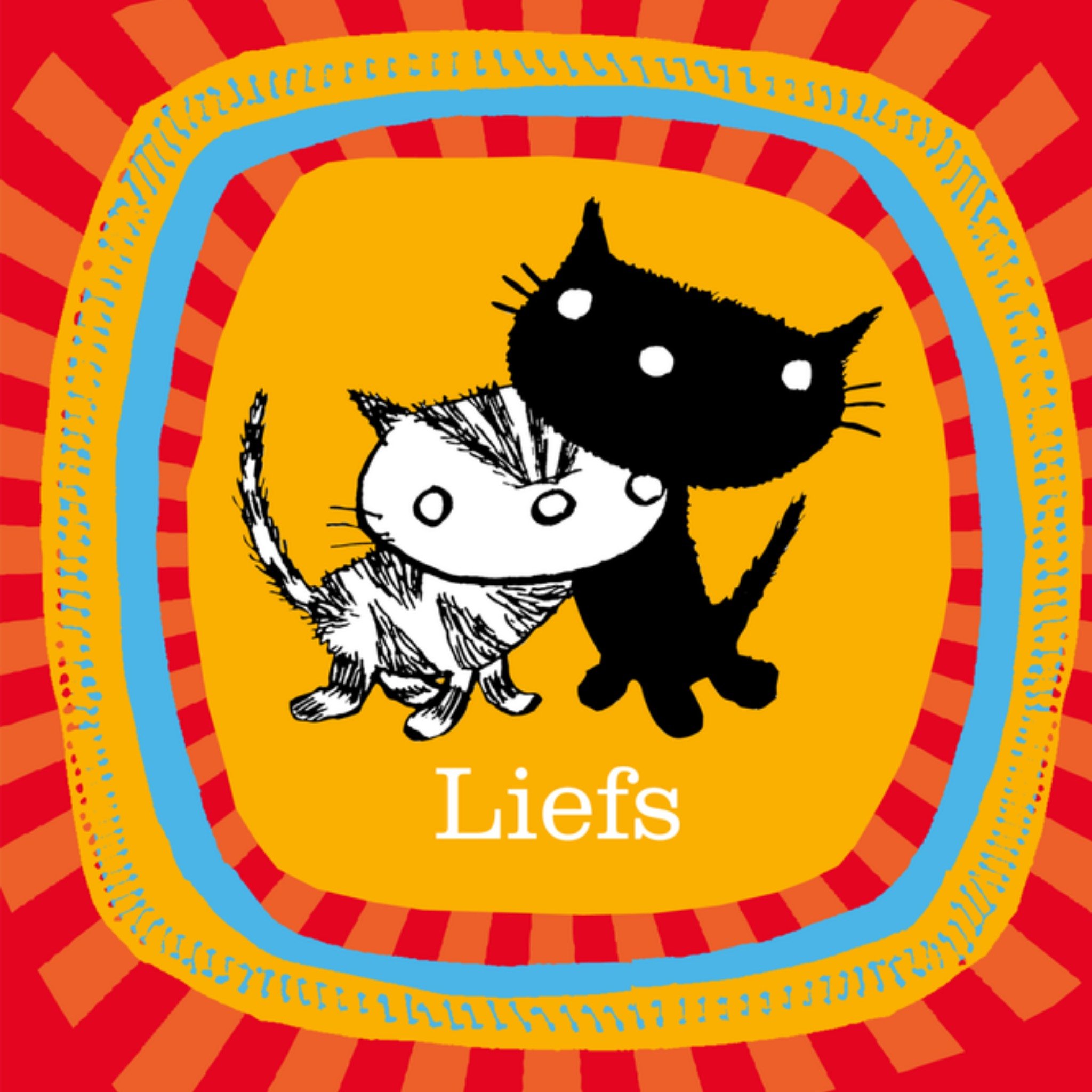 Pim Pom knuffelen Vierkante Kaart Fiep Westendorp