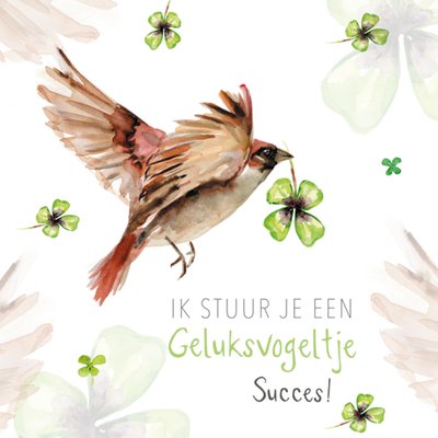 Michelle Dujardin | Succeskaart | vogels