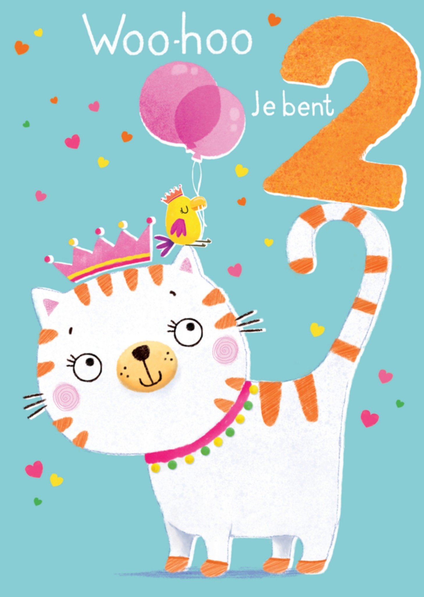 Abacus Verjaardagskaart kat 2 Kaart Abacus Cards