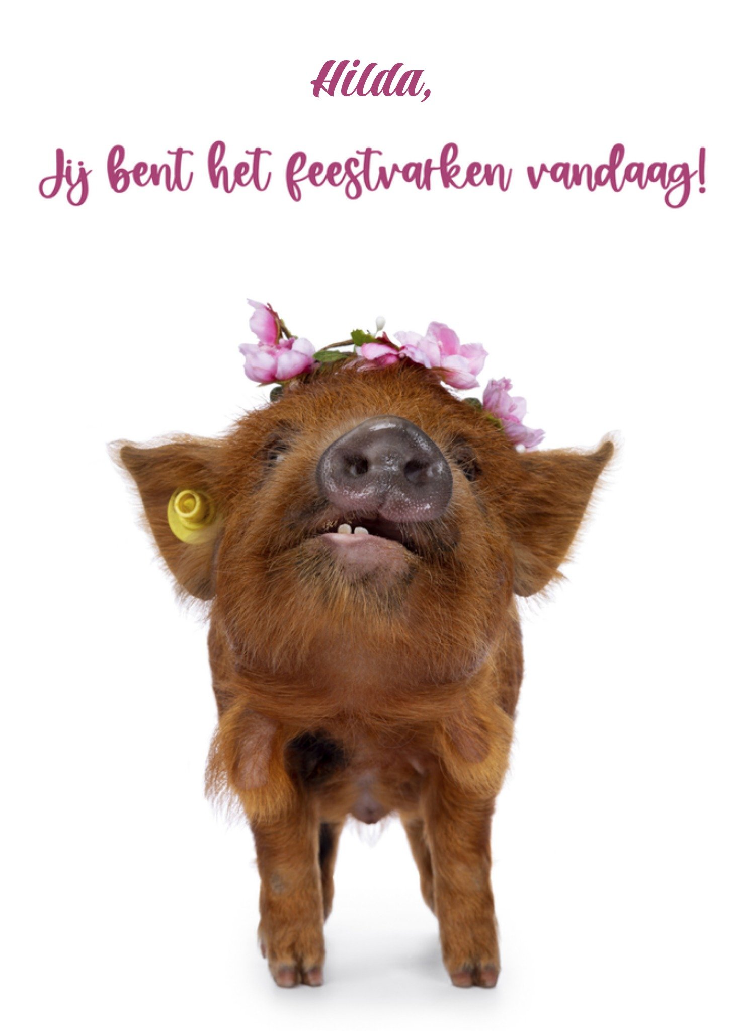 Verjaardagskaart varken naam Kaart Catchy Images