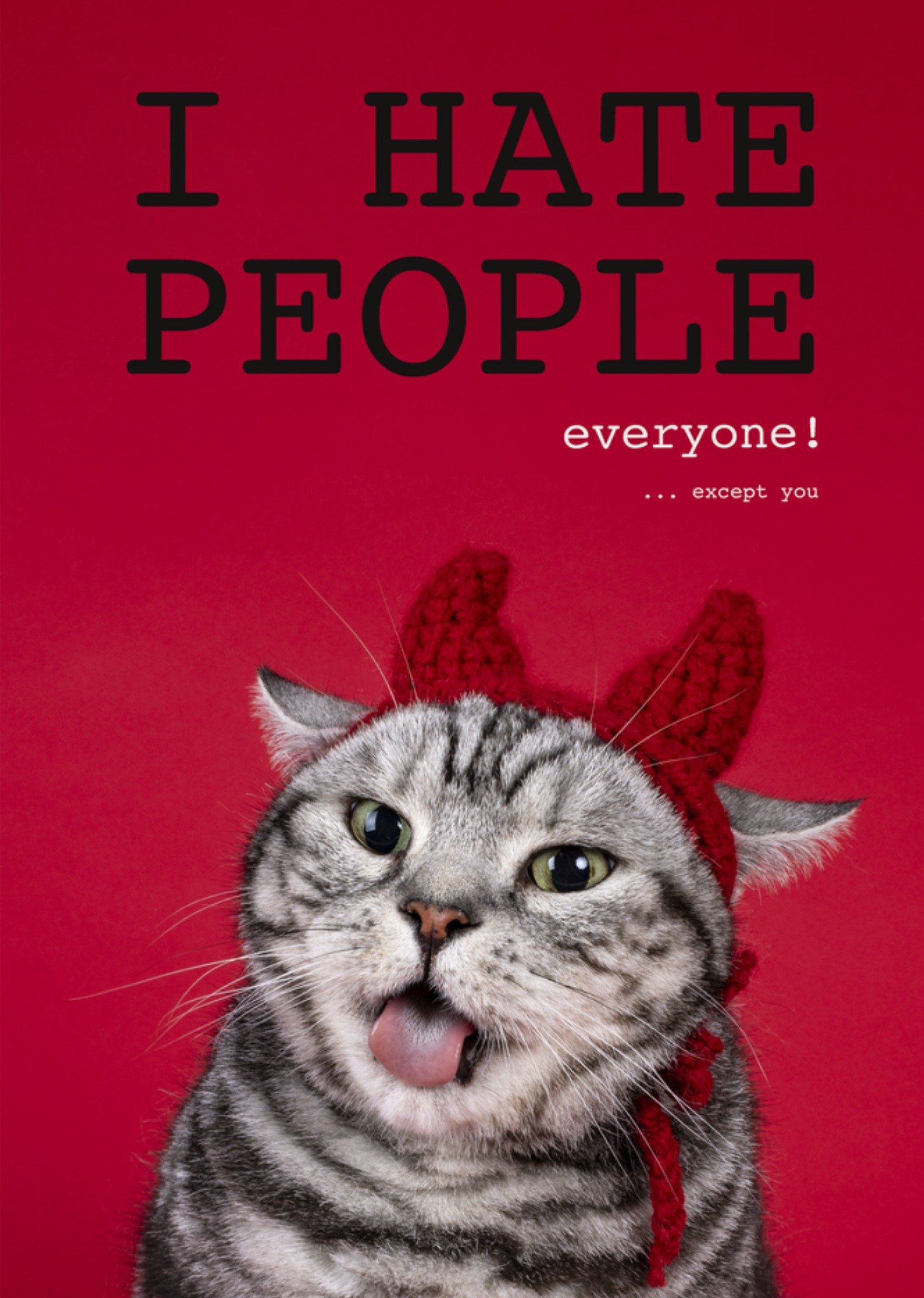 Valentijnskaart Duivel kat Kaart Catchy Images