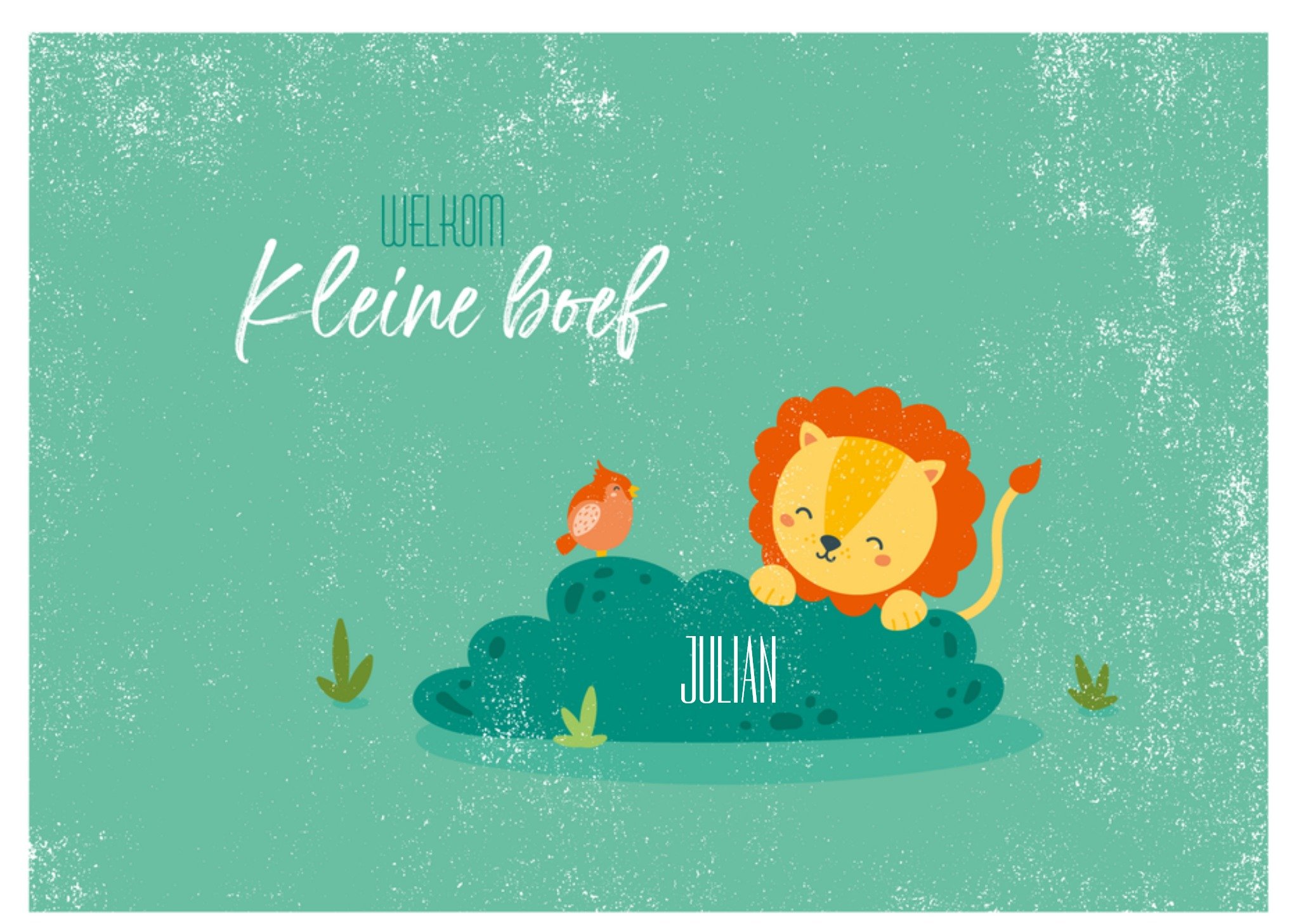 Geboortekaart Leeuw Jongen Kaart Paperclip