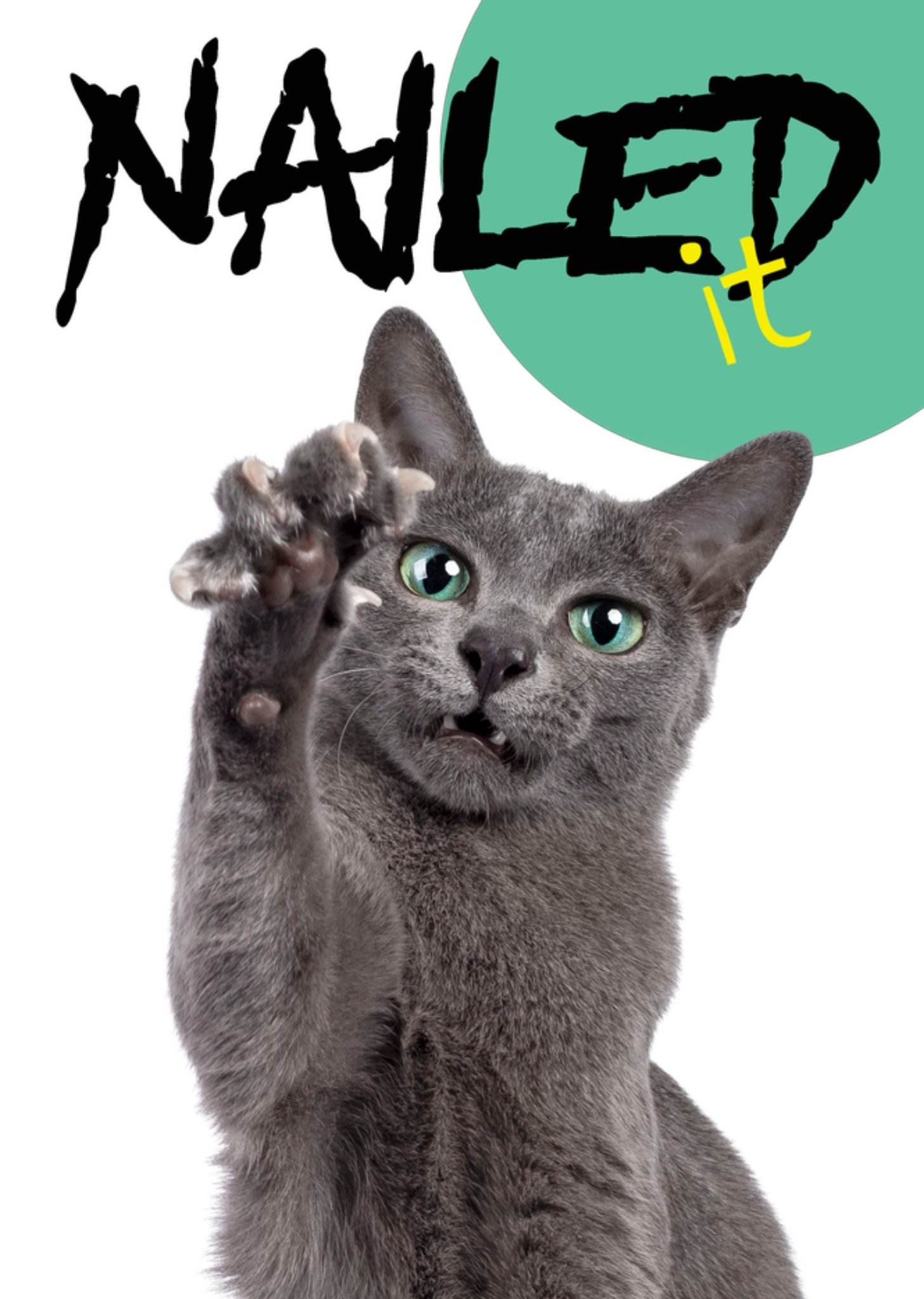 Catchy Images Geslaagdkaart Nailed It Kat Greetz
