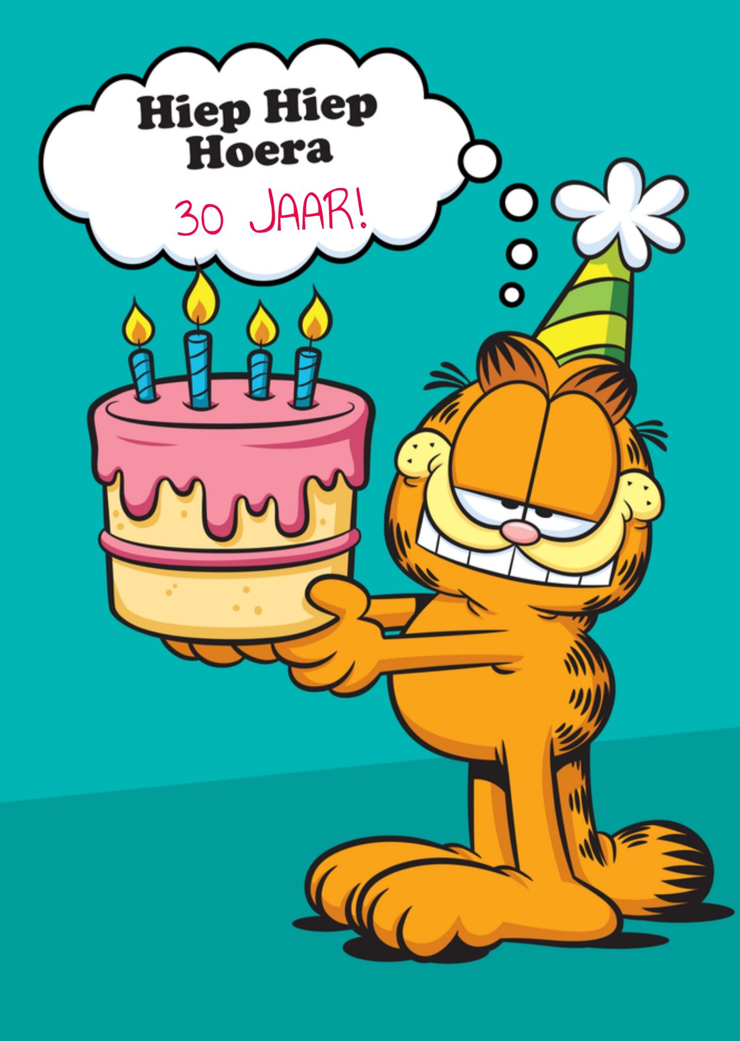 Verjaardagskaart Verjaardagstaart 30 jaar Kaart Garfield