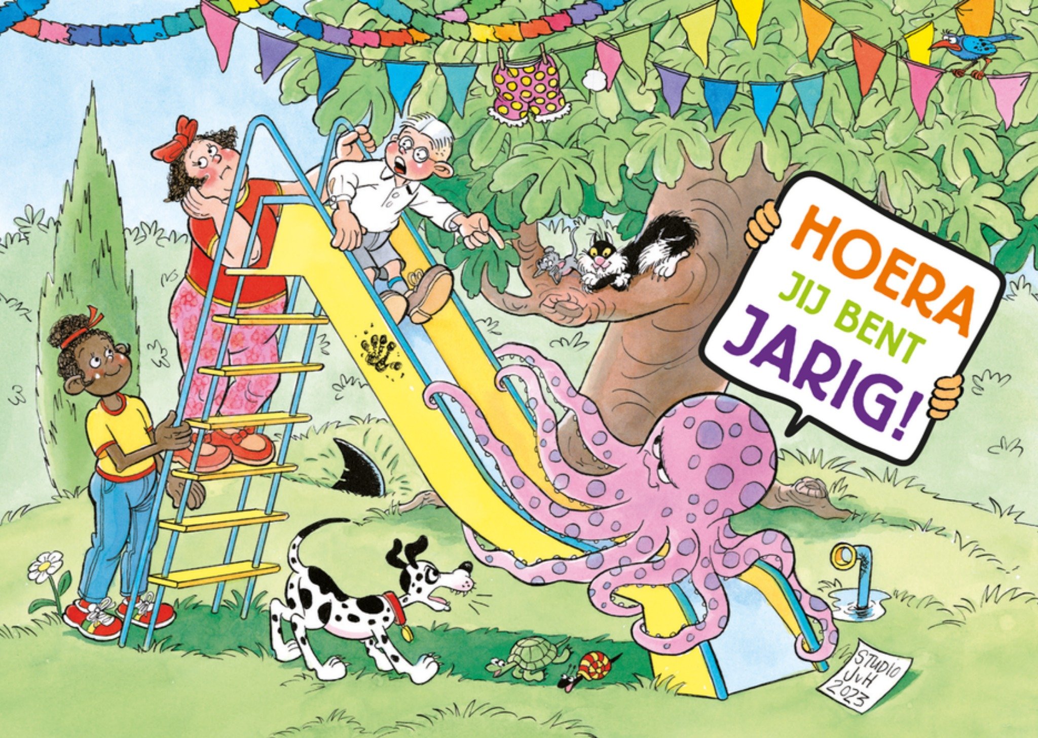 Jan van Haasteren Verjaardagskaart Hoera Jij Bent Jarig Standard Card