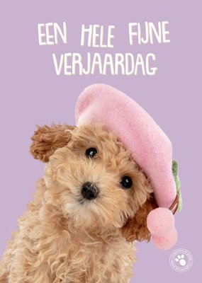Studio Pets | Verjaardagskaart | Een hele fijne verjaardag