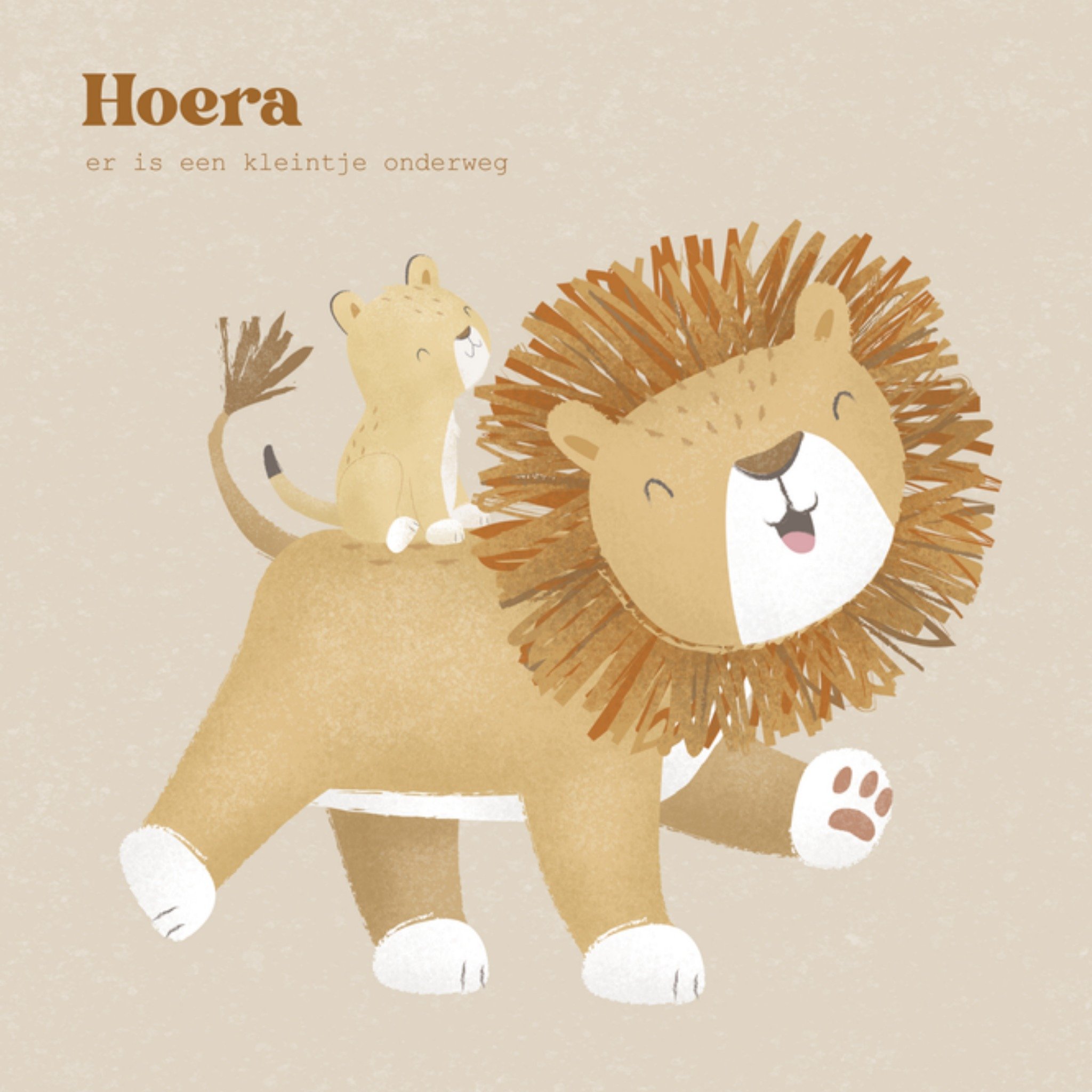 Zwangerschapskaart Hoera Vierkante Kaart Little Dutch