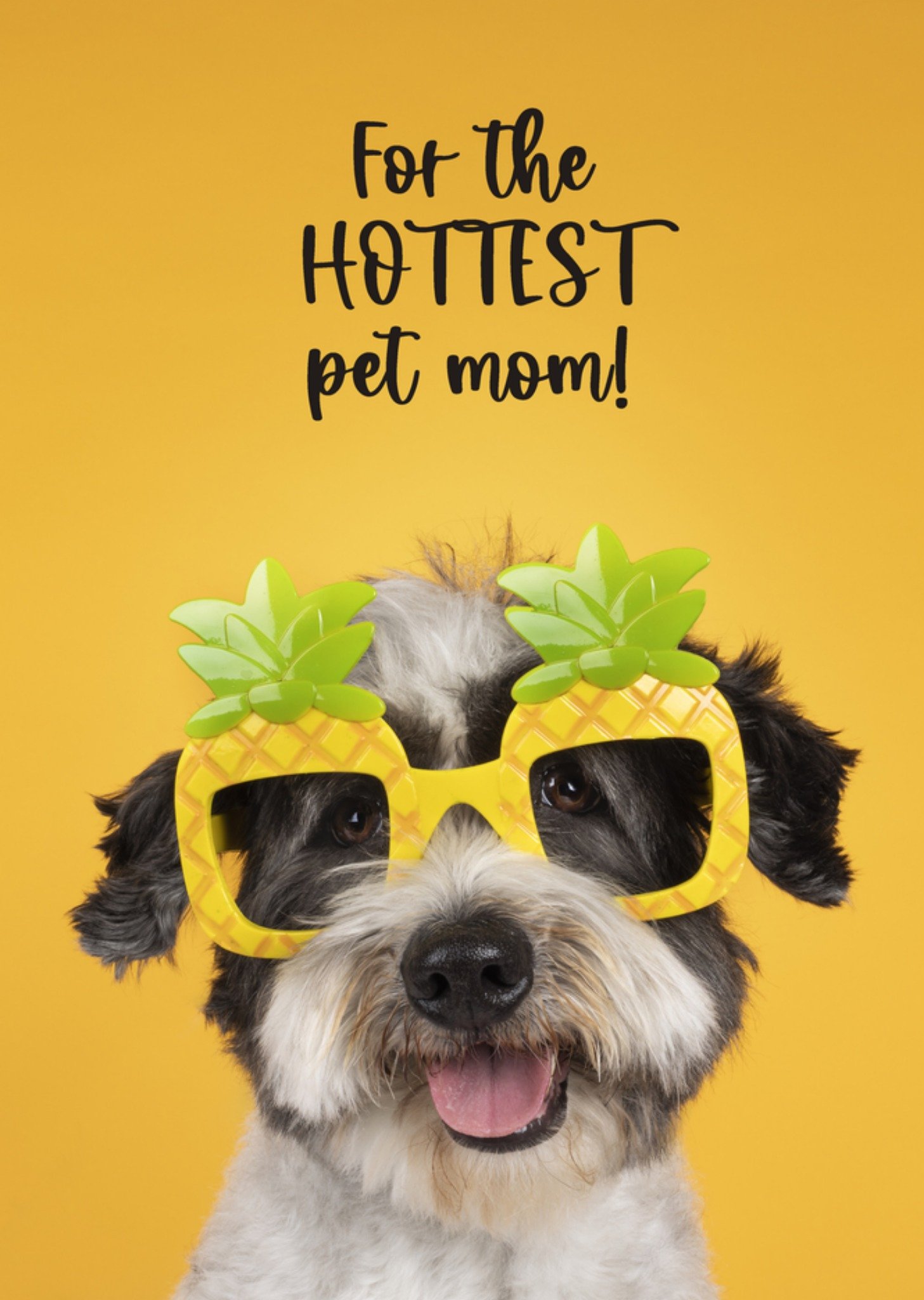 Moederdagkaart pet mom Kaart Catchy Images