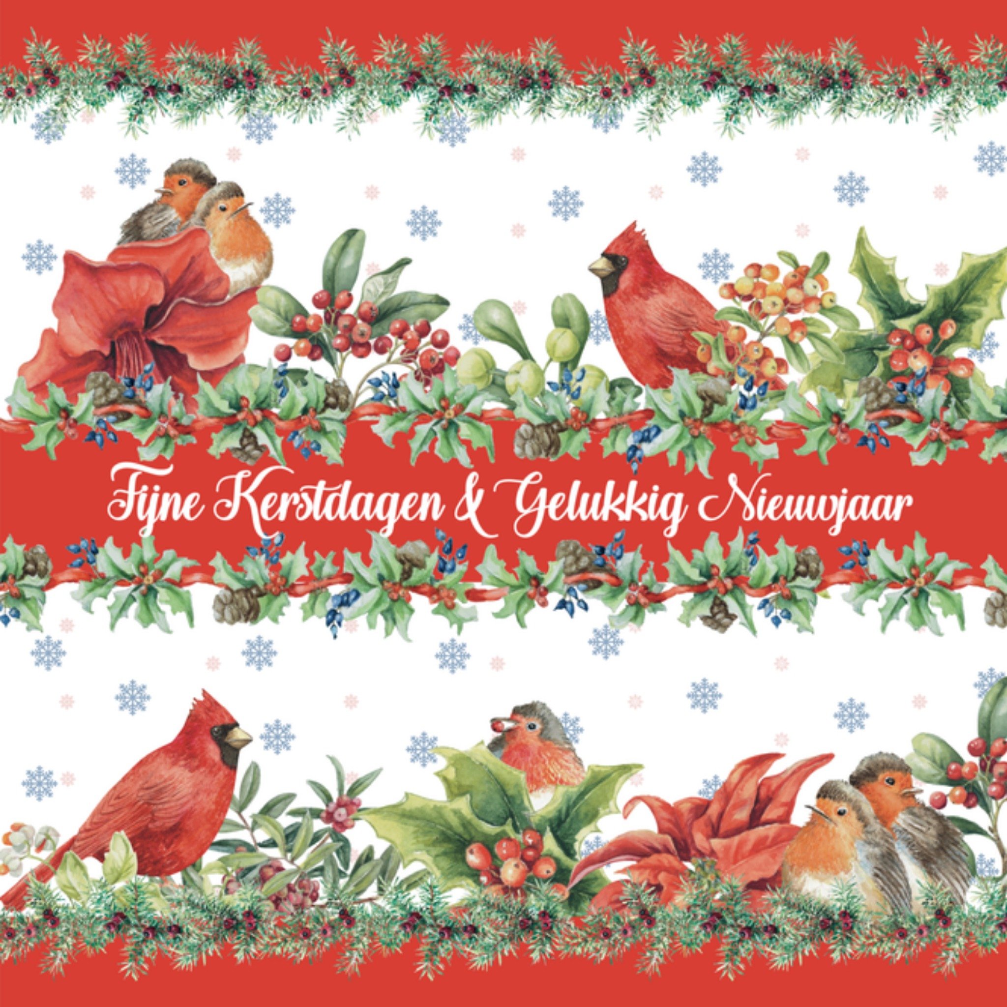 Kerstkaart vogels Janneke Brinkman