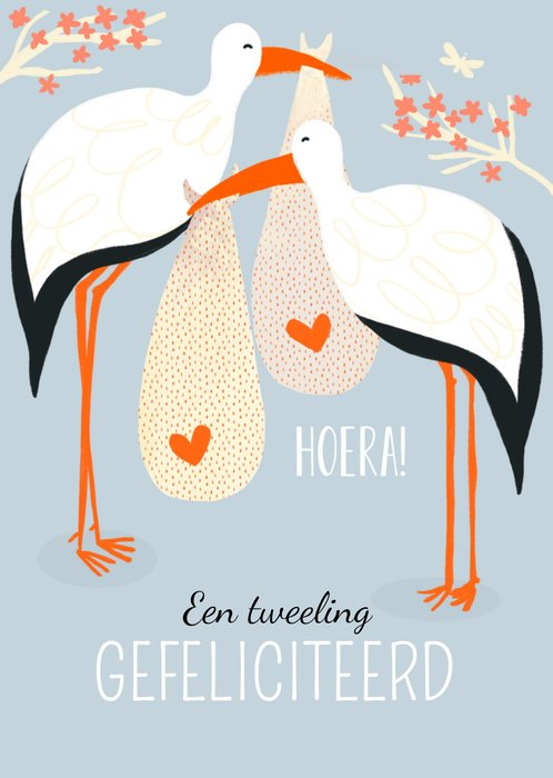 Greetz | Geboortekaart | ooievaar | tweeling